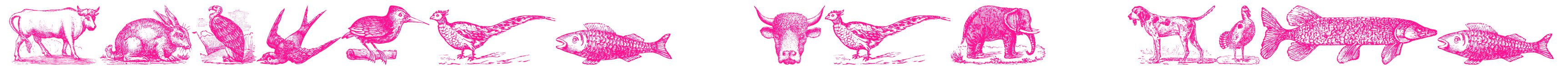 Animals Old Cuts预览图片