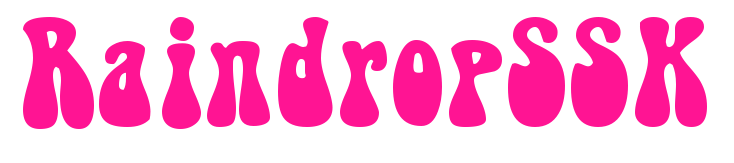 RaindropSSK预览图片
