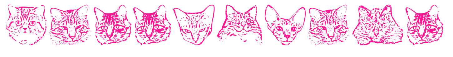 KittyPrint预览图片