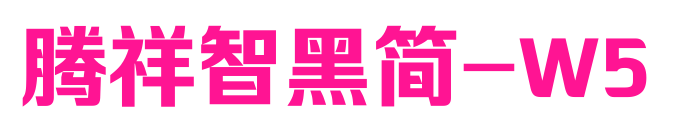 腾祥智黑简-W5预览图片