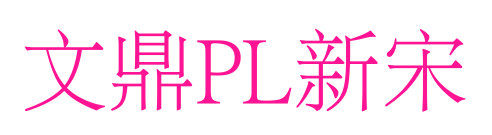 文鼎PL新宋预览图片