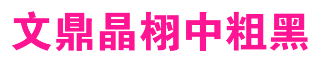 文鼎晶栩中粗黑