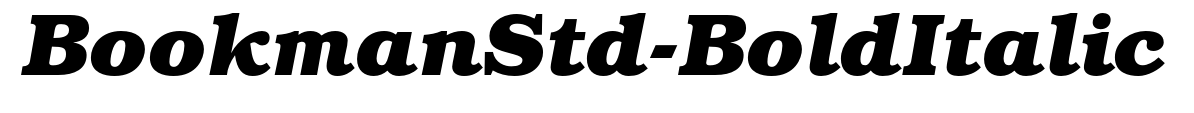 BookmanStd-BoldItalic预览图片