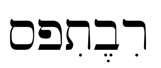 sptiberi预览图片