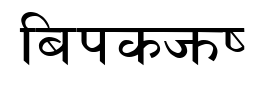 lakshmi预览图片