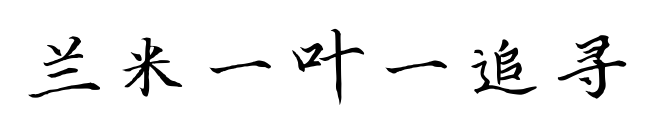 兰米一叶一追寻预览图片