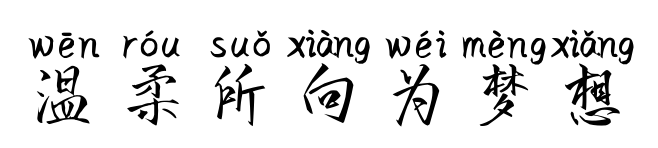 温柔所向为梦想	