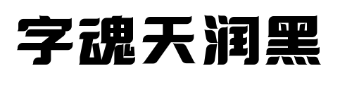 字魂天润黑